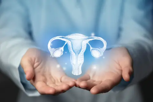 ilustração de um ovário para indicar a ginecologia